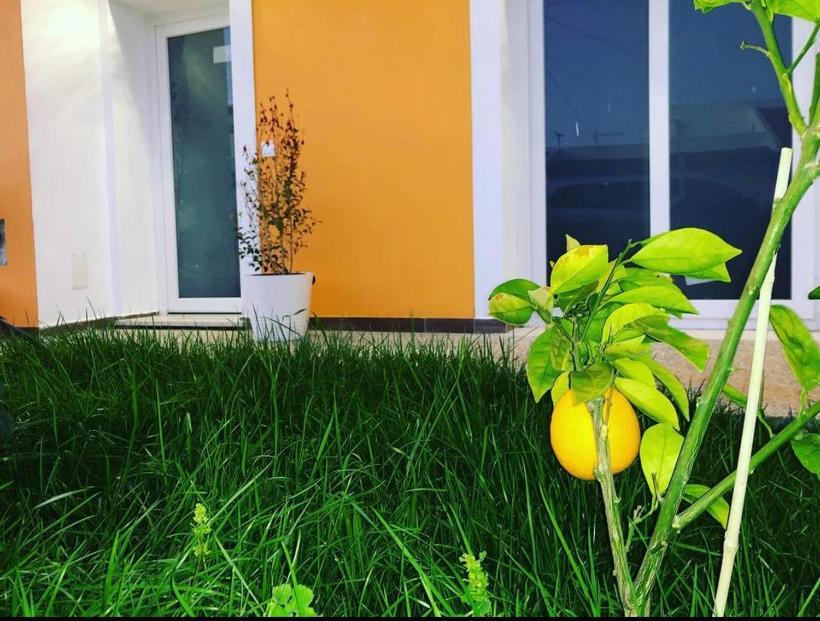 Orange Guest House Sagres Dış mekan fotoğraf